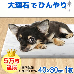 犬の夏用ベッド｜ひんやりする人気のおすすめを教えてください