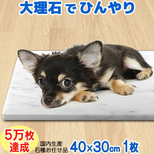 ペット用ランチョンマット お食事マット 犬用 猫用 25X40cm( グレー)