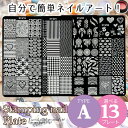 【楽天1位受賞】＜TYPE-A＞スタンピングネイルプレート スタンピングネイル スタンプネイル スタンパー スクレイパー ネイルプレート ネイルアート ネイルグッズ 転写 簡単 かんたん スタンプ【即納】