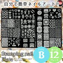 【楽天1位受賞】＜TYPE-B＞スタンピングネイルプレート スタンピングネイル スタンプネイル ネイルプレート ネイルアート ネイルグッズ 転写 簡単 スタンパー スクレイパー かんたん スタンプ 単品 ハート リボン カフェ ボヘミアン レース 羽 鳥【即納】