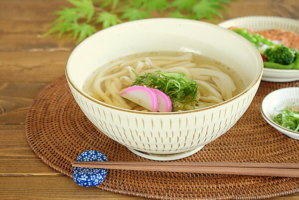 食器 どんぶり おしゃれ 和食器 モダン 丼ぶり 美濃焼 うどん鉢 そば アウトレット カフェ風 錆トチリ讃岐丼