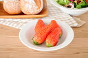 【3,000円OFFクーポン5/1 10:00〜5/7 9:59】食器 おしゃれ 小鉢 (S)ニューヨーカーサラダボウル 美濃焼 ボウル サラダボウル 小鉢 ア...