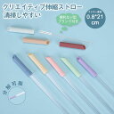 伸縮ストロー 洗浄用ブラシ付属