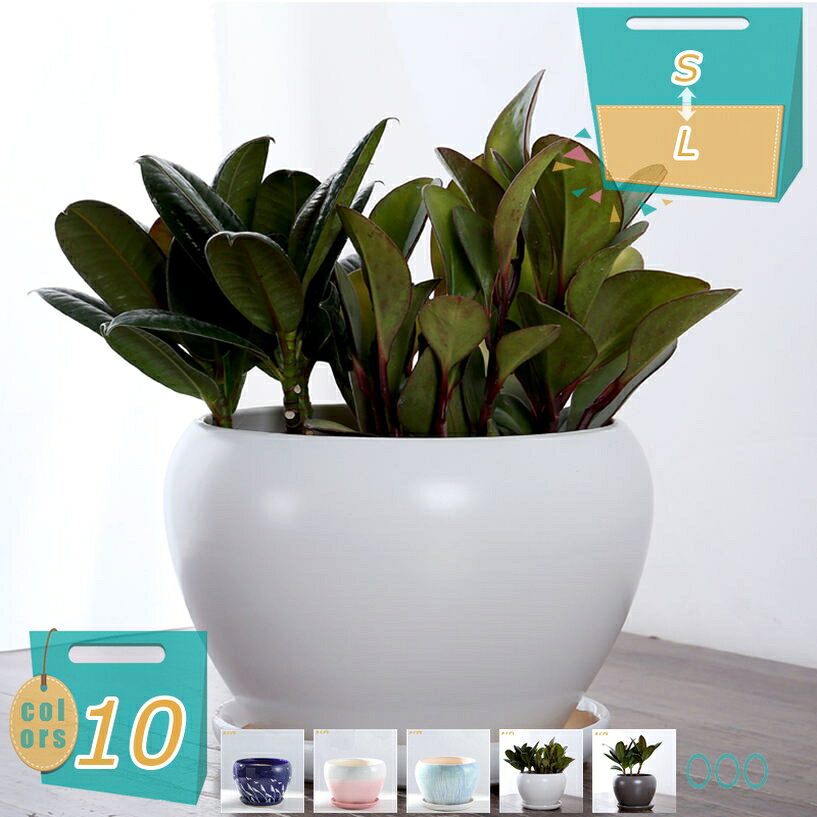 1000円OFFクーポン プランター 受け皿 トレイ付き モダン 多肉植物ポット 植木鉢…