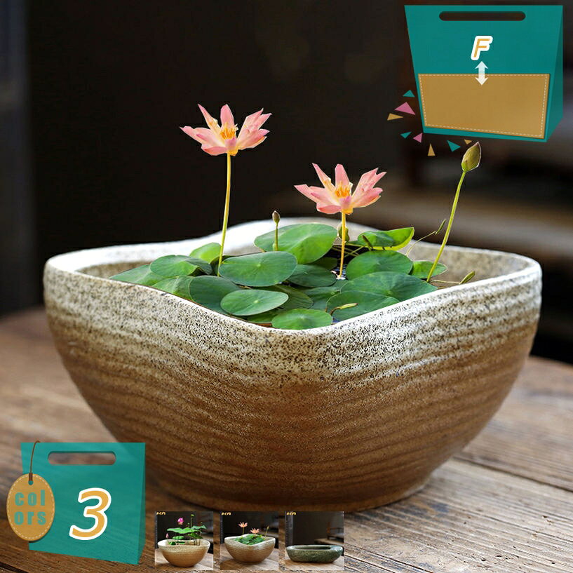 メイン素材：セラミック「※植物は含まれません」【商品名】プランター【素材】セラミック・陶器【サイズ】●タイプ1＝口径（20cm）高（9cm） ●タイプ2＝口径（15cm）高（9cm） ●タイプ3＝口径（20cm）高（7cm）塗装もとても美しく丁寧で、見た目や触ったときの質感も高く、細かい仕上がり、繊細なディテールでとてもリアルな出来です。植木鉢はセラミックで作られており、耐久性が長持ちします。庭の装飾、リビング、ダイニング 、花壇、芝生のデコレーション、階段の装飾品、庭アート飾り、屋外の飾り物、ゼントルームの装飾......その他家の多くの場所として使用するのに適しています。用途は幅広いです。底に排水穴がないから植物の水耕栽培、魚の飼育にも使えます。御挨拶・引越し・贈答・新築・転勤・祝用・誕生日・記念日・卒業などの場合、素敵なギフトとして園芸が上手な友達やご家族、先生、上司に送っても最適です。【商品名】 ：プランター 【素材】：セラミック サイズ ●タイプ1＝口径（20cm）高（9cm） ●タイプ2＝口径（15cm）高（9cm） ●タイプ3＝口径（20cm）高（7cm） ※植物は含まれません ●屋外でも全然大丈夫。セラミック素材でできており、丈夫で耐久性があり、自然で美しい色で、雨の中で滑らかで完全で、耐久性があります。 ●多肉植物、水耕栽培、睡蓮、ミニサボテン、ハーブ、空気植物、または造花に適しています。 ●用途は幅広いです。底に排水穴がないから植物の水耕栽培、魚の飼育にも使えます ●庭の装飾、リビング、ダイニング 、花壇、芝生のデコレーション、階段の装飾品、庭アート飾り...その他家の多くの場所として使用するのに適しています。 ■ キーワード： 装飾プランター 鉢 サボテン鉢 セラミック 草花 寄せ植え 観葉植物鉢 大型植木鉢 屋内植木鉢 植木鉢 室内用プランター 観葉植物植木鉢 多肉植物用植木鉢 多肉植物容器 多肉植物ポット 多肉容器 鉢植え 野菜栽培 プランター フラワーポット スタイリッシュ 容量たっぷり サボテンポット 陶器 ガーデンポット プラントポット 植物用プラントポット 園芸用品 園芸鉢 ハーブ鉢 花鉢 インテリア鉢 大きい 庭木鉢 ガーデン用品 室内屋外用 ガーデニング用品 アンティーク プランター用受皿 フラワーバスケット 北欧 鉢カバー 鉢植えカバー プランターカバー 樹脂プランター 樹脂プランター プラ鉢 陶器鉢 おしゃれな植木鉢 背の高い植木鉢 通気性がよい表示された内容は参考用です。実際の商品は実物をご確認ください。鉢植え 屋外用 果樹鉢 植木鉢台 植物 40号 plant pots ミニ 台 吊るす 鉢皿 陶器鉢 3号 アガベ バラ鉢 プラスチック鉢 底面給水鉢 御洒落 睡蓮鉢 素焼き鉢 7号鉢 インテリア サボテンフラワーポット 6号 ガジュマル 黒 3号 4号 pot pots テラコッタ ハンギング 屋内 陶器鉢 8号鉢 plant 吊り鉢 多肉 多肉植物 屋外用 底面給水鉢 果樹鉢 根はり鉢 素焼き 素焼き鉢小さい 素焼き鉢 紫陽花用の鉢 観葉植物の鉢 観葉植物鉢 軽い鉢 鉢・プランター 長方形 black plastic stone グレー 植木 花鉢 オシャレ 陶器 大型 吊り 室内 棚 金魚鉢 ガーデン用品 収納陶器植木鉢大 陶器鉢 黒 サボテン 多肉植物 大きいサイズ indoor planters pots サボテン鉢 スイカの受け皿 可愛い植木鉢 多肉 多肉植物の植木鉢 多肉植物鉢 多肉花盆 大 安い 寄せ植え鉢