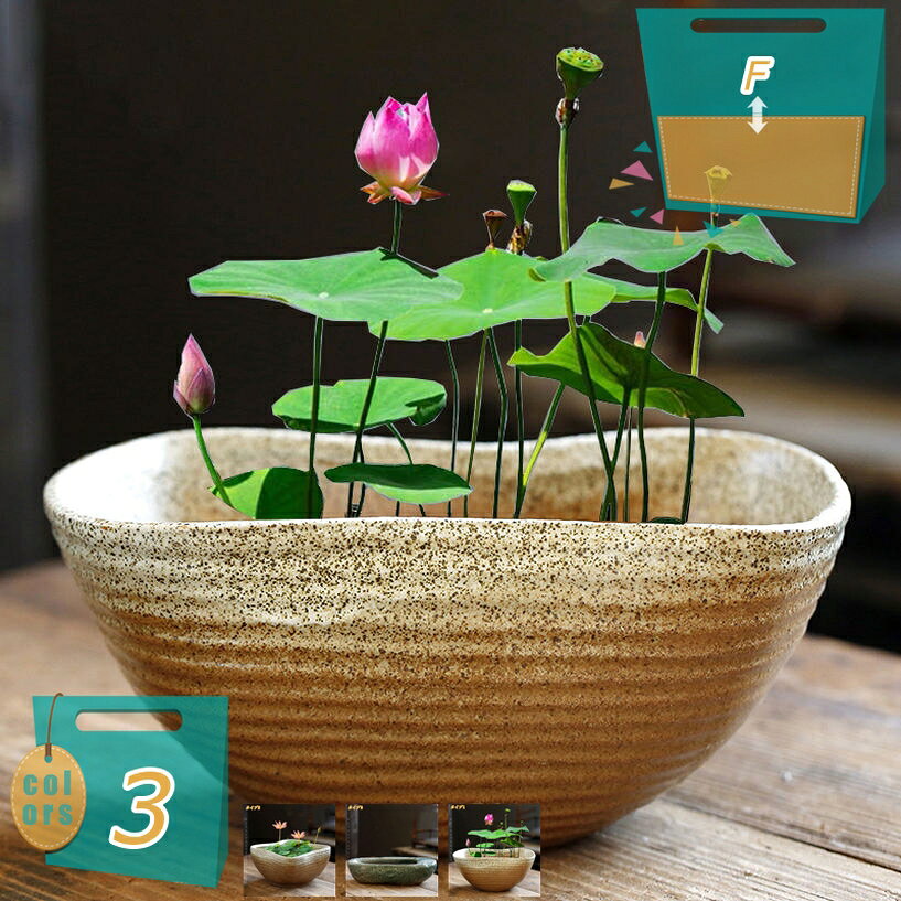メイン素材：セラミック「※植物は含まれません」【商品名】プランター【素材】セラミック・陶器【サイズ】●タイプ1＝口径（20cm）高（9cm） ●タイプ2＝口径（15cm）高（9cm） ●タイプ3＝口径（20cm）高（7cm）塗装もとても美しく丁寧で、見た目や触ったときの質感も高く、細かい仕上がり、繊細なディテールでとてもリアルな出来です。植木鉢はセラミックで作られており、耐久性が長持ちします。庭の装飾、リビング、ダイニング 、花壇、芝生のデコレーション、階段の装飾品、庭アート飾り、屋外の飾り物、ゼントルームの装飾......その他家の多くの場所として使用するのに適しています。用途は幅広いです。底に排水穴がないから植物の水耕栽培、魚の飼育にも使えます。御挨拶・引越し・贈答・新築・転勤・祝用・誕生日・記念日・卒業などの場合、素敵なギフトとして園芸が上手な友達やご家族、先生、上司に送っても最適です。【商品名】 ：プランター 【素材】：セラミック サイズ ●タイプ1＝口径（20cm）高（9cm） ●タイプ2＝口径（15cm）高（9cm） ●タイプ3＝口径（20cm）高（7cm） ※植物は含まれません ●屋外でも全然大丈夫。セラミック素材でできており、丈夫で耐久性があり、自然で美しい色で、雨の中で滑らかで完全で、耐久性があります。 ●多肉植物、水耕栽培、睡蓮、ミニサボテン、ハーブ、空気植物、または造花に適しています。 ●用途は幅広いです。底に排水穴がないから植物の水耕栽培、魚の飼育にも使えます ●庭の装飾、リビング、ダイニング 、花壇、芝生のデコレーション、階段の装飾品、庭アート飾り...その他家の多くの場所として使用するのに適しています。 ■ キーワード： 装飾プランター 鉢 サボテン鉢 セラミック 草花 寄せ植え 観葉植物鉢 大型植木鉢 屋内植木鉢 植木鉢 室内用プランター 観葉植物植木鉢 多肉植物用植木鉢 多肉植物容器 多肉植物ポット 多肉容器 鉢植え 野菜栽培 プランター フラワーポット スタイリッシュ 容量たっぷり サボテンポット 陶器 ガーデンポット プラントポット 植物用プラントポット 園芸用品 園芸鉢 ハーブ鉢 花鉢 インテリア鉢 大きい 庭木鉢 ガーデン用品 室内屋外用 ガーデニング用品 アンティーク プランター用受皿 フラワーバスケット 北欧 鉢カバー 鉢植えカバー プランターカバー 樹脂プランター 樹脂プランター プラ鉢 陶器鉢 おしゃれな植木鉢 背の高い植木鉢 通気性がよい表示された内容は参考用です。実際の商品は実物をご確認ください。鉢植え 屋外用 果樹鉢 植木鉢台 植物 40号 plant pots ミニ 台 吊るす 鉢皿 陶器鉢 3号 アガベ バラ鉢 プラスチック鉢 底面給水鉢 御洒落 睡蓮鉢 素焼き鉢 7号鉢 インテリア サボテンフラワーポット 6号 ガジュマル 黒 3号 4号 pot pots テラコッタ ハンギング 屋内 陶器鉢 8号鉢 plant 吊り鉢 多肉 多肉植物 屋外用 底面給水鉢 果樹鉢 根はり鉢 素焼き 素焼き鉢小さい 素焼き鉢 紫陽花用の鉢 観葉植物の鉢 観葉植物鉢 軽い鉢 鉢・プランター 長方形 black plastic stone グレー 植木 花鉢 オシャレ 陶器 大型 吊り 室内 棚 金魚鉢 ガーデン用品 収納陶器植木鉢大 陶器鉢 黒 サボテン 多肉植物 大きいサイズ indoor planters pots サボテン鉢 スイカの受け皿 可愛い植木鉢 多肉 多肉植物の植木鉢 多肉植物鉢 多肉花盆 大 安い 寄せ植え鉢