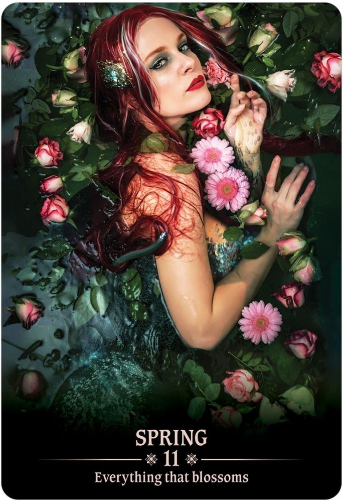 ������ �饤�� ���饯�� [������] Dark Light Oracle �ꤤ ���饯�륫���� �Ѹ�Τ�