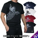 【GW 20%OFFセール】和柄クールドライ冷感Tシャツ「鯉魚登竜門」漢字 龍 登龍門 半袖 tシャツ 送料無料 メンズ レディース 大きいサイズ 手染 京都 ...