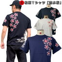 和柄Tシャツ「流水桜」2Lまで 極厚生地 冬でも着れるTシャツ 半袖 tシャツ 桜 春 花見 京都 送料無料 メンズ レディース 生地 服 手染 京友禅
