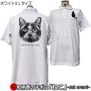 【楽天スーパーSALE 半額】【即配ホワイトXLサイズ】【最大P47倍セール】和柄鹿の子ポロシャツ「ねこ」-cat crew-