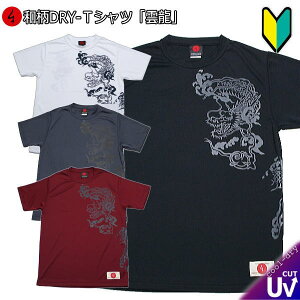 和柄 クールドライ 冷感 Tシャツ「雲龍」半袖 tシャツ 竜 龍 半袖 tシャツ 送料無料 メンズ レディース 大きいサイズ 手染 京都 バレンタイン 最大5L 初心者 最大5L