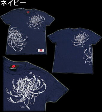 ▼手染め京友禅/和柄Tシャツ「乱菊」(らんぎく/華)【スタンダード/細身/レディースサイズ】【京都/壬生堂/和柄/手染/オリジナル/送料無料/日本】●