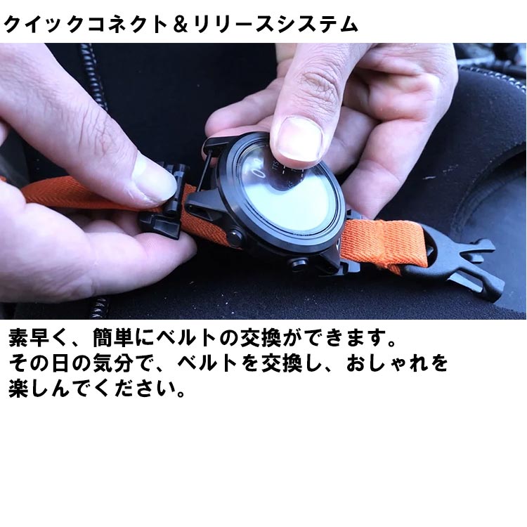 [ SHEARWATER ] ���������������� REMORA (����) �����ӥ󥰥��ȥ�åץ��顼���ȥ�åץ��åȡʥɥ饤�������ѡ�