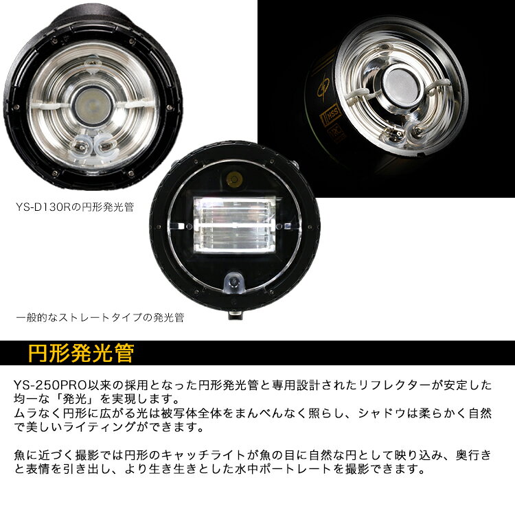 [ SEA&SEA ] シーアンドシー YS-D130R Pro Package 水中ストロボ [03134]