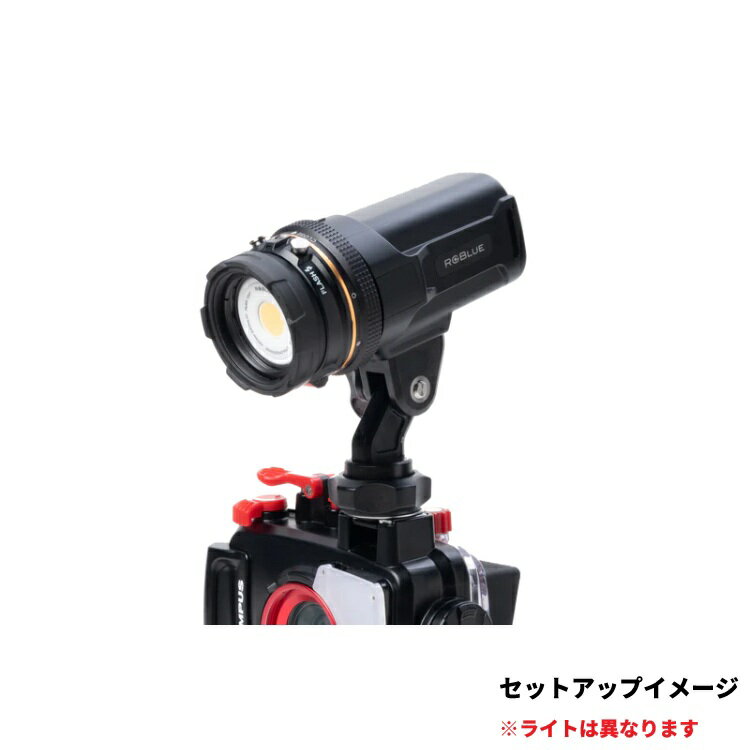 [ RGBlue ] �����른���֥롼 SYSTEM02 Tricolor YS�����ץ��������塼�١������å� [ SYSTEM02 Tricolor / YS�����ץ������å� / �������꡼���塼��
