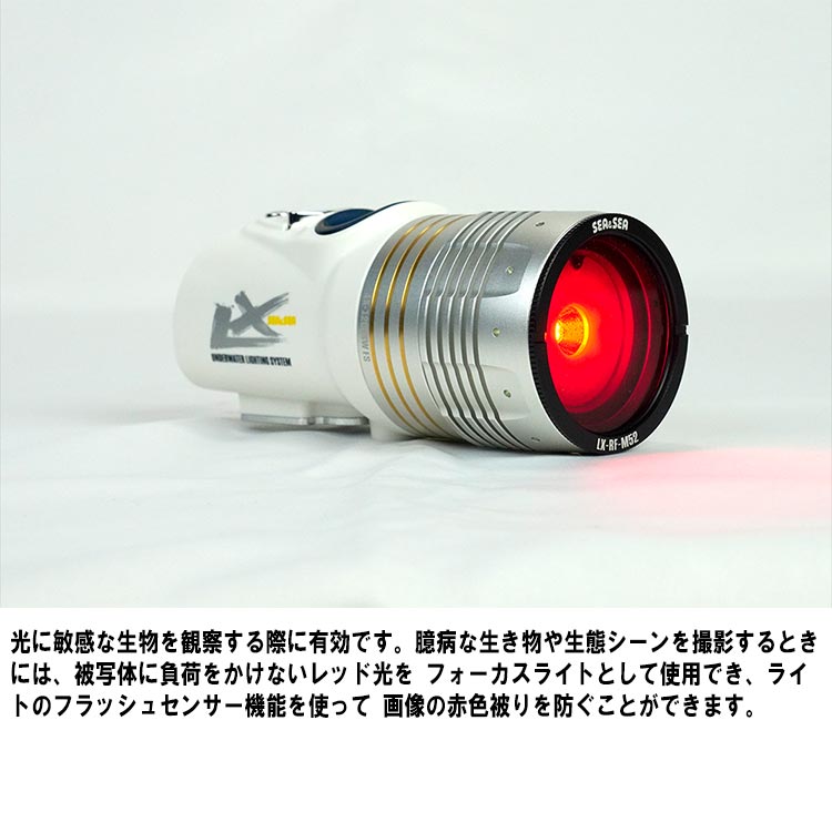 [ SEA��SEA ] ��������ɥ��� LX ��åɥե��륿�� 09170