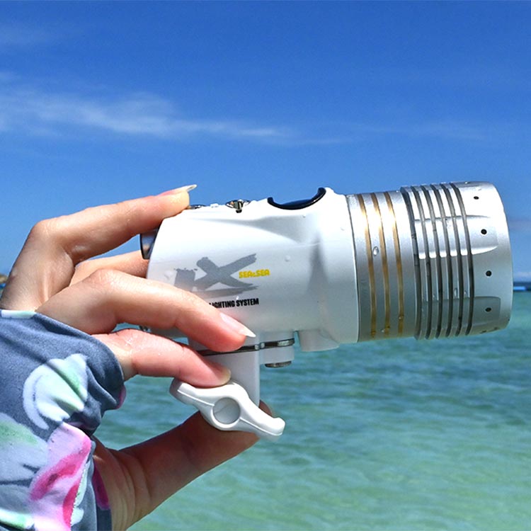 [ SEA��SEA ] ��������ɥ��� LX YS�١��� 09144 09145