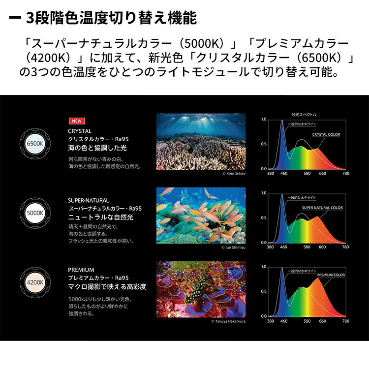 ������ [ RGBlue ] SYSTEM02 Tricolor �����ƥ�02 Tricolor �����른���֥롼 S02-TC1 ����饤�� �ӥǥ��饤�� ����