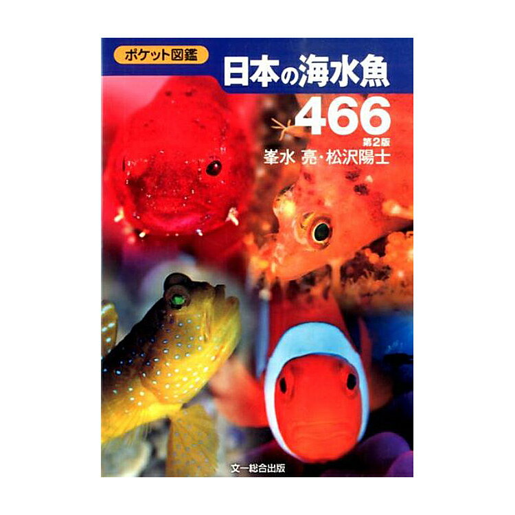 [ 文一総合出版 ] ポケット図鑑 日本の海水魚466 第2版