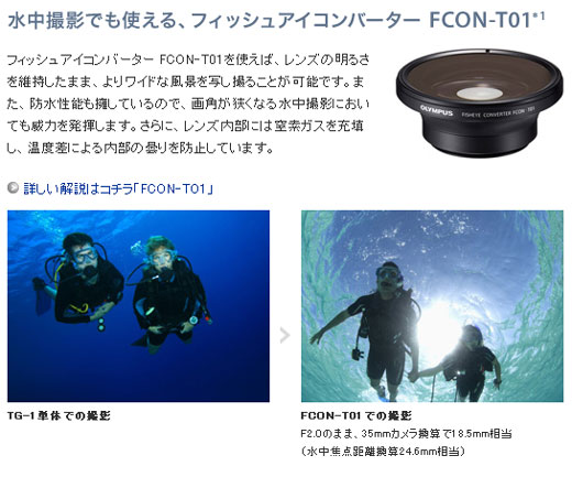 楽天市場 Olympus オリンパス Fcon T01 フィッシュアイコンバーター ムラウチ