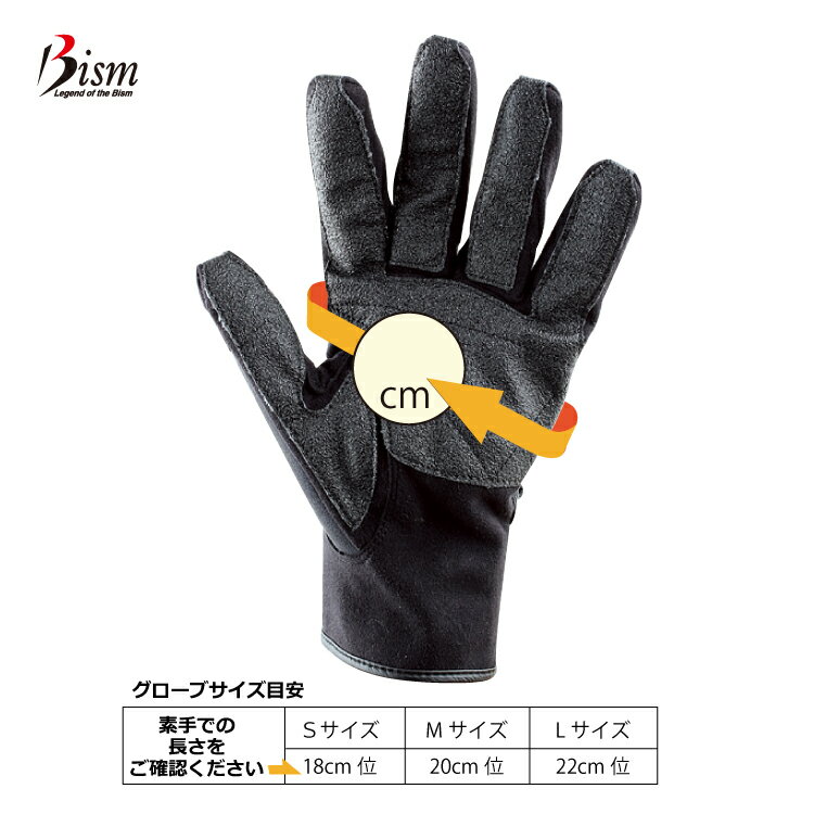 �����ӥ� �������� [ Bism ] �ӡ������� ACG2500 ���楫���ޥ󥰥�����