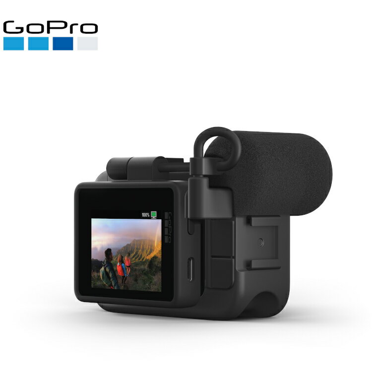 [ GoPro ] �ǥ����ץ쥤�⥸��顼 AJLCD-001-AS