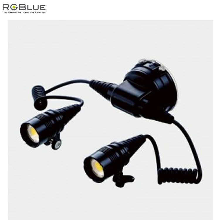 [ アールジーブルー RGBlue ] ライトモジュール LM5K1300S2 ( re )