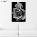 【※商品限定ゲリライベント開催中※期間中10%OFFクーポン発行 7/5〜7/10 まで 】絵画 アートパネル 壁掛け モノクロ モダン 花 母の日 バラ 水滴...
