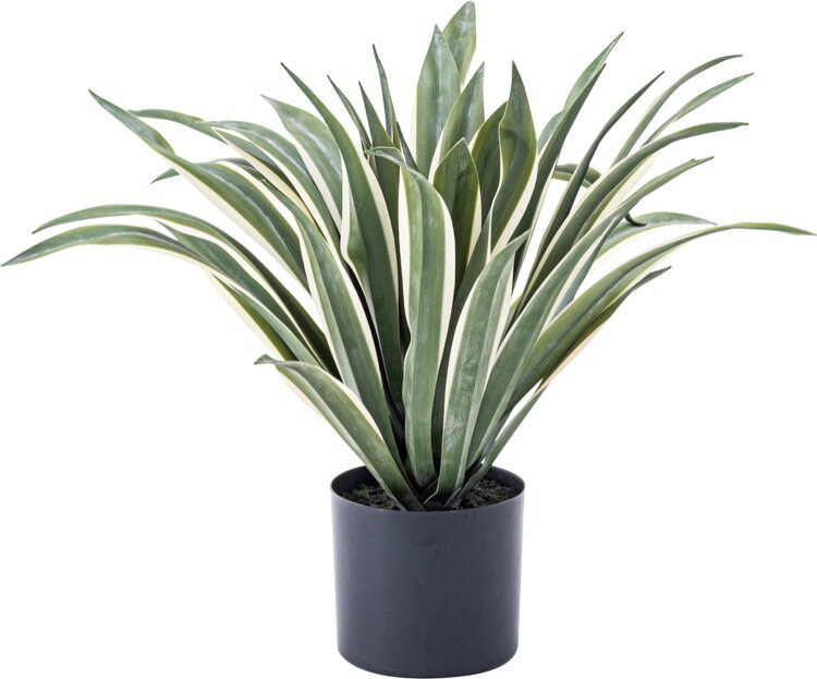 フェイクグリーン 大型 おしゃれ グリーン アガペ 屋外 人工観葉植物 造花 ほっこり リアル 北欧 お洒落 モダン デザイン テイスト スタイル カフェ風 人気 おすすめ アイテム インテリア 家具 新生活 一人暮ら