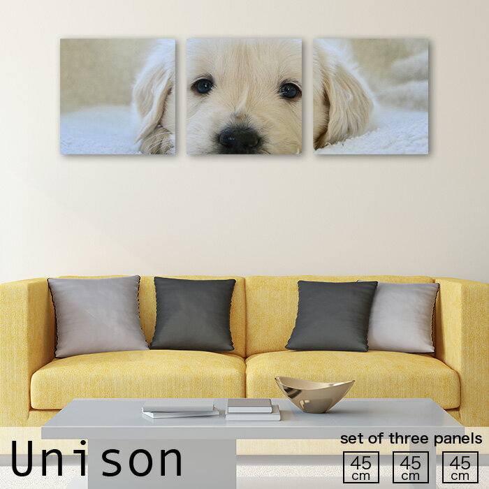 【※3日間限定※ 当店限定企画 ポイント10倍！11/29〜12/1まで！】インテリア アート おしゃれ アートパ..