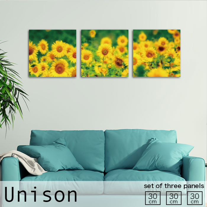 【※ブラックフライデー 10%OFF※ 11/20 20:00〜11/27 01:59まで!】インテリア アート おしゃれ アートパネル 3枚 セット モダン ...