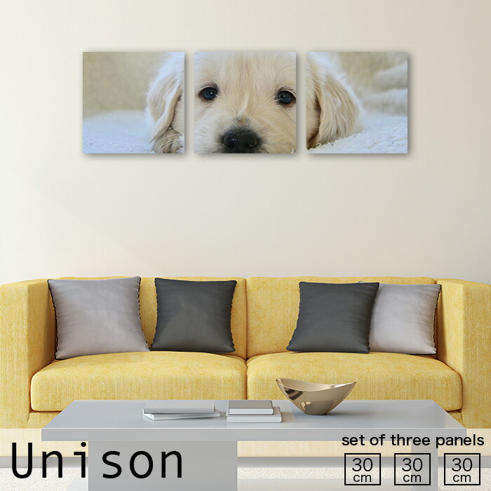 【※3日間限定※ 当店限定企画 ポイント10倍！11/29〜12/1まで！】インテリア アート おしゃれ アートパ..