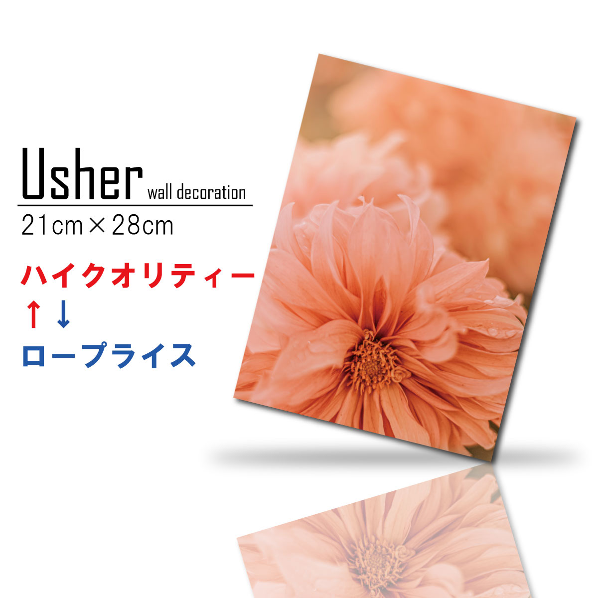 【※スーパーセール期間限定※ 10%OFFクーポン＆ポイント倍増！】韓国 インテリア 雑貨 おしゃれ シンプ..