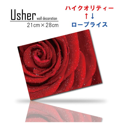 アートパネル 花 バラ 薔薇 壁掛け アート 人気 おしゃれ 壁掛け ファブリックパネル 赤いバラ 水滴 一輪 モダン シック 大人 セクシー 写真 フォト 花びら 横 横型 フラワー フラワーアレンジメント 人気 日本製 高品質 木製 綿 手作り アートパネル 花 バラ 薔薇 壁掛け アート 人気 おしゃれ 壁掛け ファブリックパネル 赤いバラ 水滴 一輪 モダン シック 大人 セクシー 写真 フォト 花びら 横 横型 フラワー フラワーアレンジメント 人気 日本製 高品質 木製 綿 手作り