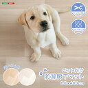 【 !スーパーセール終了間近!50%OFF ラストセール開催中 】ラグ ペット 防水 ズレ防止 ペットマット 廊下 木目調 滑らない 消臭 洗える ラグマット ...