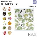 ロールスクリーン Rise 遮光 キラキラ パターン 総柄 イラスト 赤 青 黄 ライズ オーダー 1cm単位 間仕切り 窓 目隠し 個性的 カラフル 転写 メカキット オシャレ チェーン 調光 柄 デザイン パターン 賃貸(3)