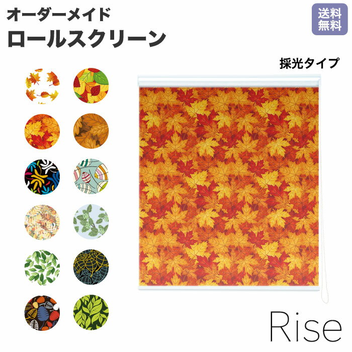 ロールスクリーン Rise 採光 模様 POP ポップ デザイン イラスト 泡 ライズ オーダー 1cm単位 間仕切り 窓 目隠し 個性的 カラフル 転写 メカキット オシャレ チェーン 調光 柄 デザイン パターン 賃貸 新築