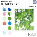 【 ポイント2倍 お買い物マラソン期間限定】 ロールスクリーン Rise 採光 緑 ジャングル loco ロコ ヤシの木 オーダー 1cm単位 間仕切り 窓 目隠し 個性的 カラフル 転写 メカキット オシャレ チェーン 調光 柄 デザイン パターン 賃貸 新築 簡単 特注 取付け 180cm 60cm