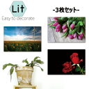 アートパネル モダン 玄関 インテリア 壁掛け 花 バラ ひまわり 3枚 桜 チューリップ アサガオ 紫陽花 黒 カラフル 写真 生け花 活け花 モダン シック ポップ POP 自然 鑑賞 綺麗 グラデーション 青空 人気 賃貸 簡単