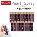 【 キャンペーン割引 】パールプラススプレー 17色セット 全17色 (No.01〜17)【送料無料】偏光パール 着色パール パールパウダー | ネイル ネイル...