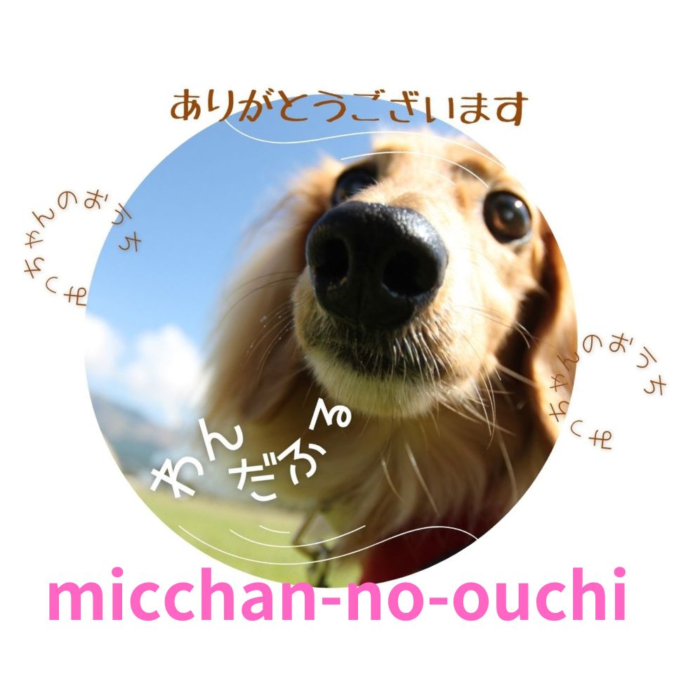 Shop icon