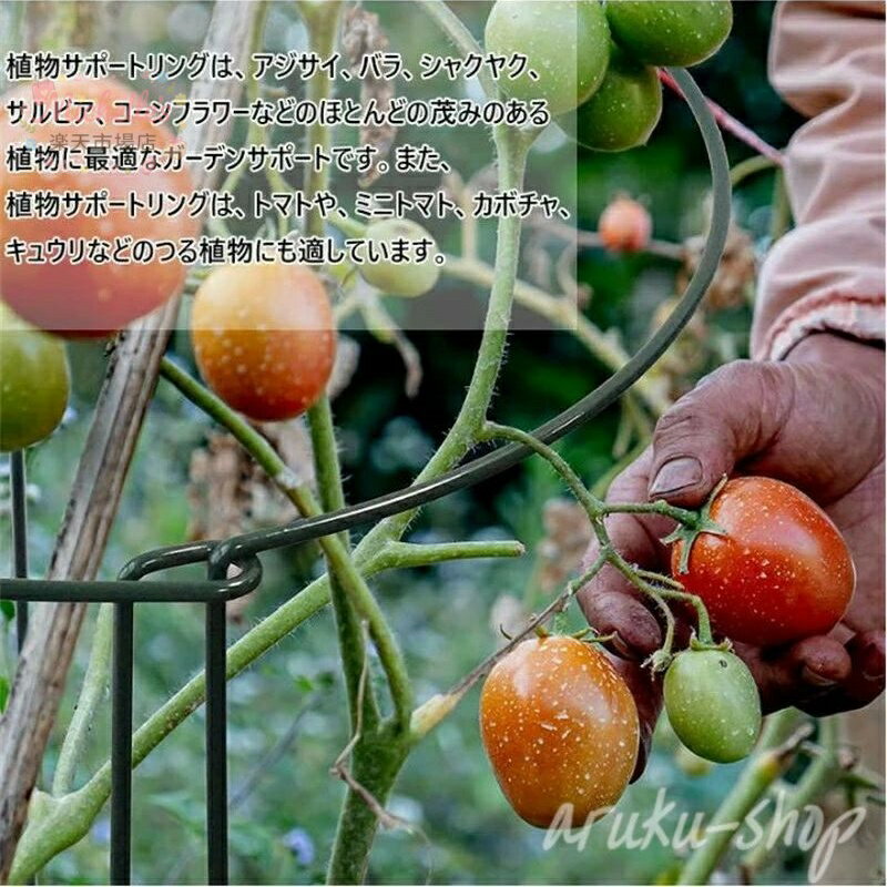 【楽天スーパーSALE】植物支柱 花ささえ 6個入 園芸支柱 植物サポート ココナッツ ...