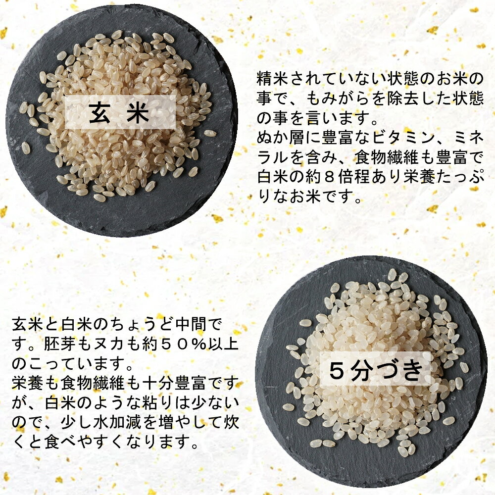 令和6年産 本場 宮城県産 ひとめぼれ 5kg 玄米 5分 7分 精白米(精米時重量約1割減4.5kg) 送料無料【白米 ヒトメボレ お米 ごはん ご飯 精米 産地直送 米処 美味しい おこめ こめ 】