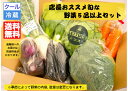 【野菜セット】店長おススメ旬な野菜5品以上セット