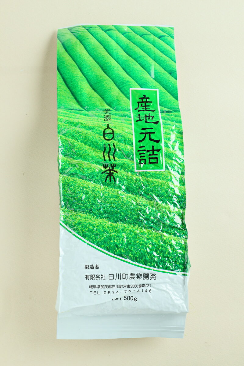 美濃白川茶　お値打ち煎茶500g