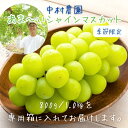 敬老の日 ギフト 季節限定 シャインマスカット 国産フルーツ 果物 大粒ぶどう 化粧箱 お歳暮 ギフト お中元 父の日 母の日 お祝い 誕生日 お取り寄せ ギフト グルメ デザート 九州 贈答 送料無料