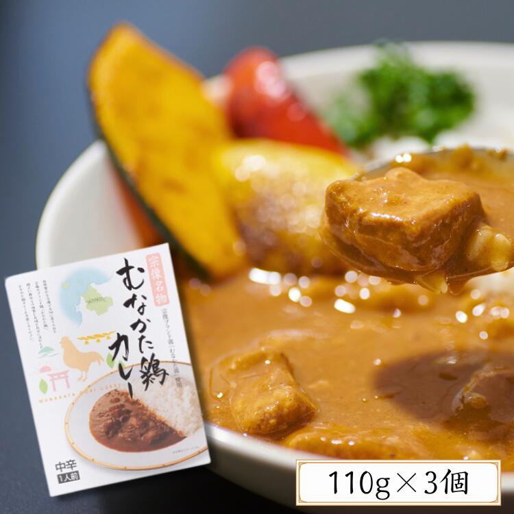 レトルトカレー 200g ×3箱 むなかた鶏 カレー 中辛 レトルト食品 カレーライス ブランド鶏 福岡 絶品 お取り寄せ グルメ 送料無料のサムネイル