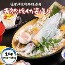 国産 いか 刺身 イカ 姿造り 刺身 150g～180g 活イカ 1...