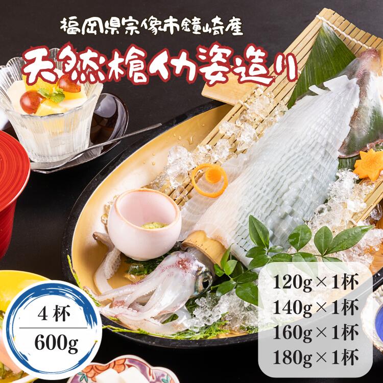 【10月10日 限定クーポン】国産 いか 刺身 イカ 姿造り 刺身 120g〜180g 計600g 活イカ 4杯 烏賊 ヤリイカ 活造り【冷凍】 敬老の日 ギフト イカ 九州 福岡 鐘崎産 天然 槍いか おつまみ お歳暮 お中元 贈答 お取り寄せ グルメ 槍イカ いかそうめん 送料無料のサムネイル