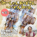 みりん干し いわし ×4袋【冷凍】 手作り 九州 福岡 お取り寄せ グルメ ギフト 手土産 送料無料